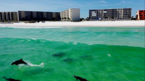 Holiday Surf and Racquet Club 403 condo